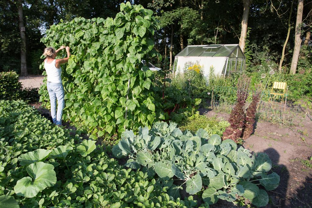 Blier Herne Gorredijk Ngoại thất bức ảnh